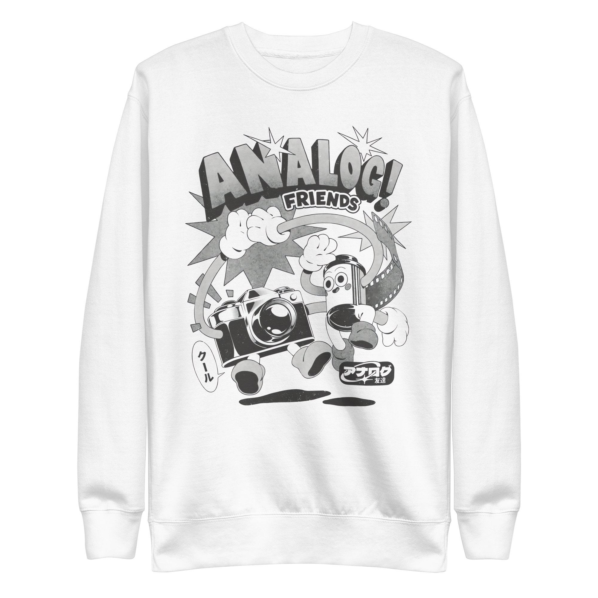 Analog Frieds — vista frontal