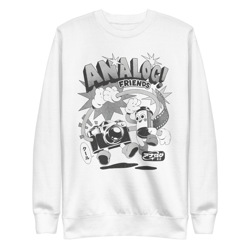Analog Frieds — vista frontal