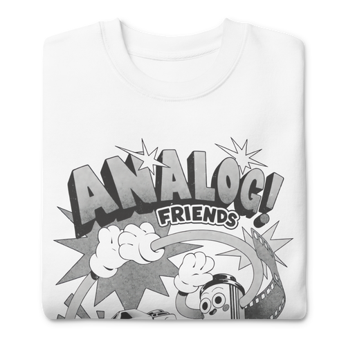 Analog Frieds — vista trasera